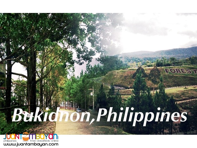 CDO Camiguin Bukidnon travel and tour packages
