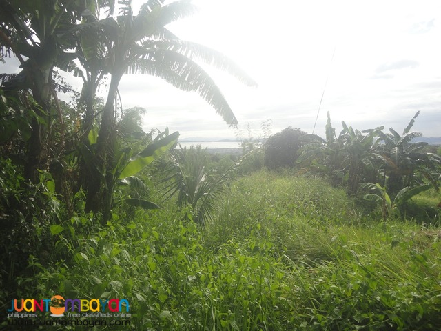 Spectacular lakeview of Laguna Bay from 22-hectare land propertyTanay 