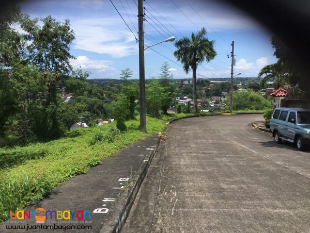 Lot for sale Royal Cebu Estates, Casili Consolacion Cebu. 