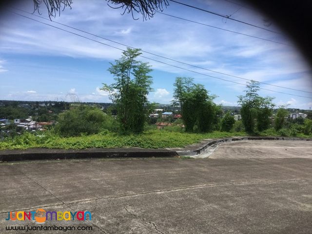 Lot for sale Royal Cebu Estates, Casili Consolacion Cebu. 