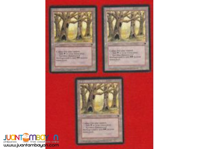 Havenwood Battleground (Magic the Gathering Trading Card Game) Havenwood Battleground (Magic the Gathering Trading Card Game)