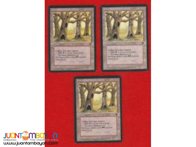 Havenwood Battleground (Magic the Gathering Trading Card Game) 