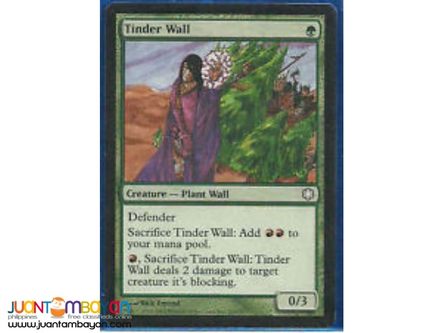 Tinder Wall (Magic the Gathering Trading Card Game) 