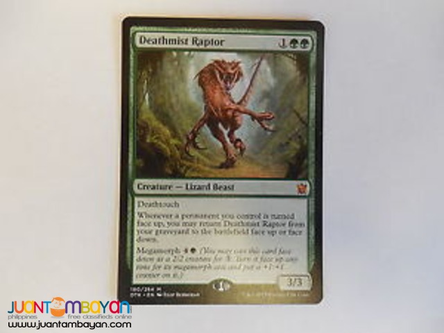 Deathmist Raptor (Magic the Gathering Trading Card Game)