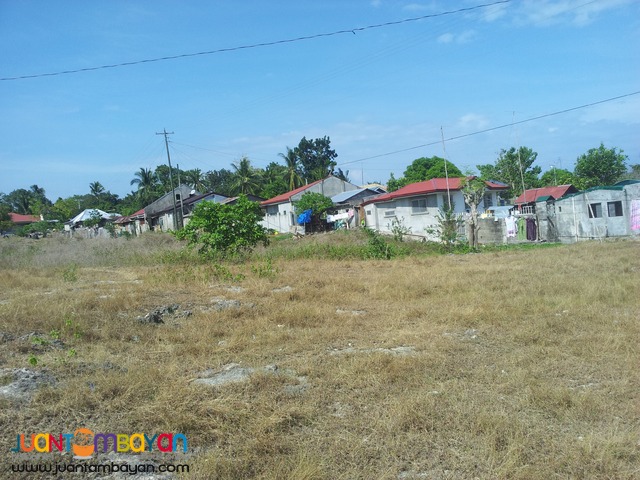 1 hect lot for sale in Sogod, Cebu
