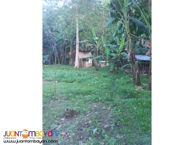 1,000 sq.m lot for sale in Garing, Consolacion,Cebu