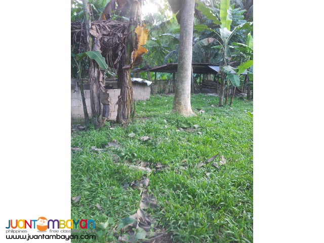1,000 sq.m lot for sale in Garing, Consolacion,Cebu