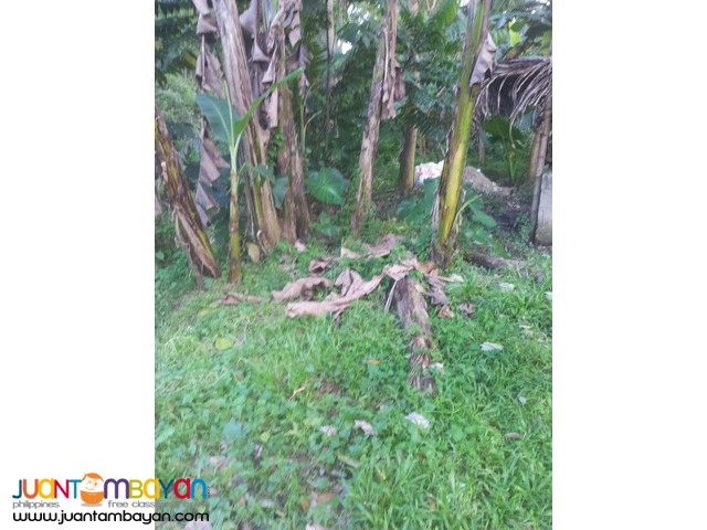 1,000 sq.m lot for sale in Garing, Consolacion,Cebu