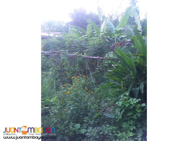 1,000 sq.m lot for sale in Garing, Consolacion,Cebu