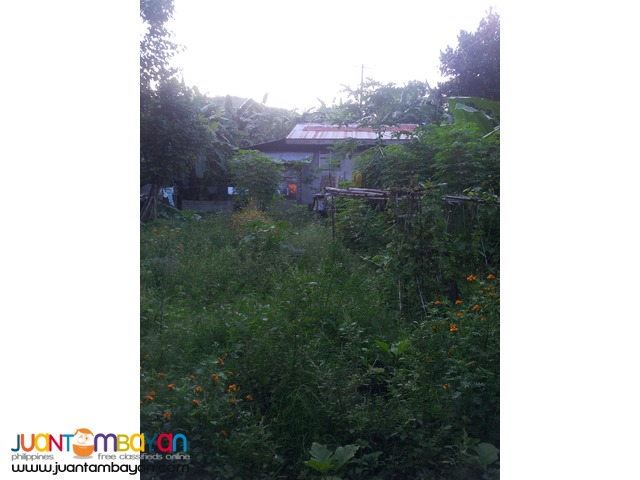 1,000 sq.m lot for sale in Garing, Consolacion,Cebu