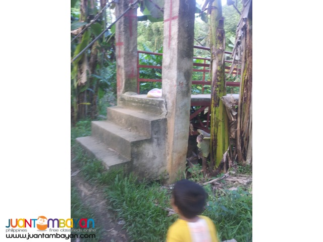 1,000 sq.m lot for sale in Garing, Consolacion,Cebu