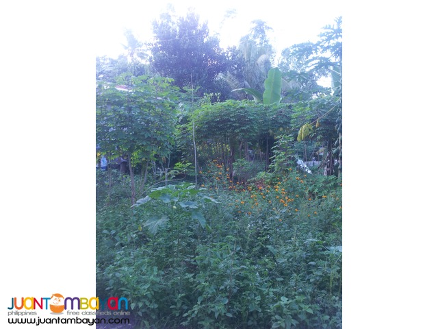 1,000 sq.m lot for sale in Garing, Consolacion,Cebu