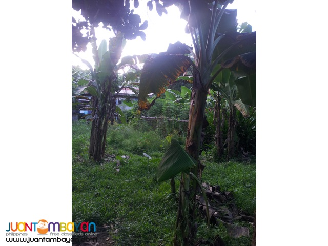 1,000 sq.m lot for sale in Garing, Consolacion,Cebu