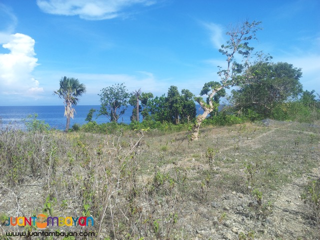 26 hectares beach lot for sale in bogo,cebu