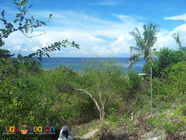 26 hectares beach lot for sale in bogo,cebu