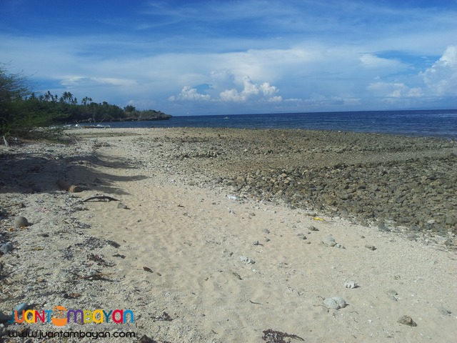 26 hectares beach lot for sale in bogo,cebu