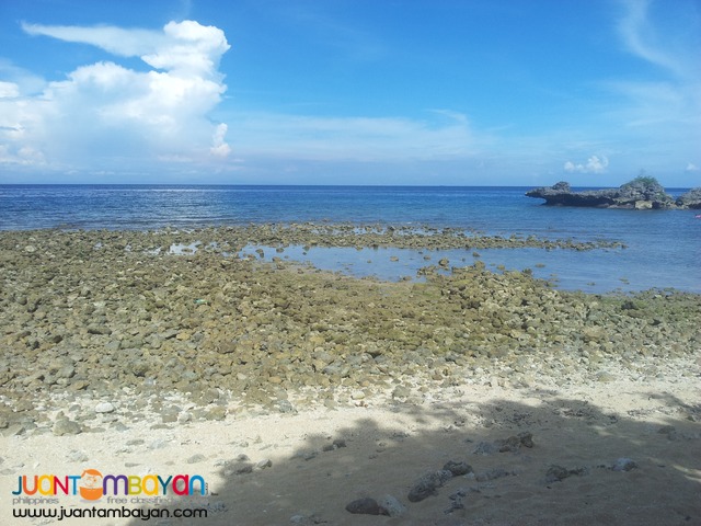 26 hectares beach lot for sale in bogo,cebu