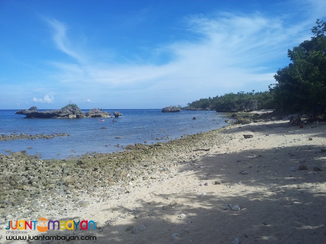 26 hectares beach lot for sale in bogo,cebu