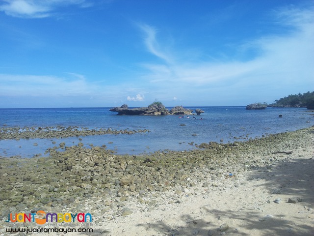 26 hectares beach lot for sale in bogo,cebu