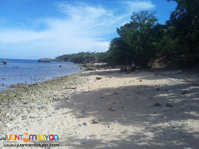 26 hectares beach lot for sale in bogo,cebu