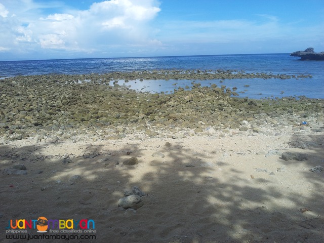 26 hectares beach lot for sale in bogo,cebu
