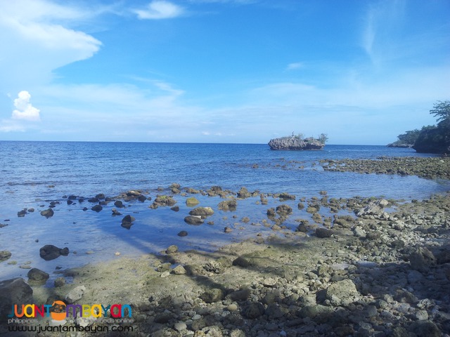 26 hectares beach lot for sale in bogo,cebu