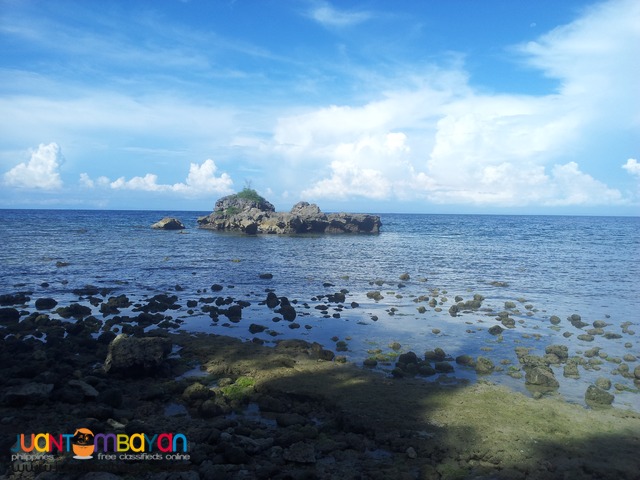 26 hectares beach lot for sale in bogo,cebu