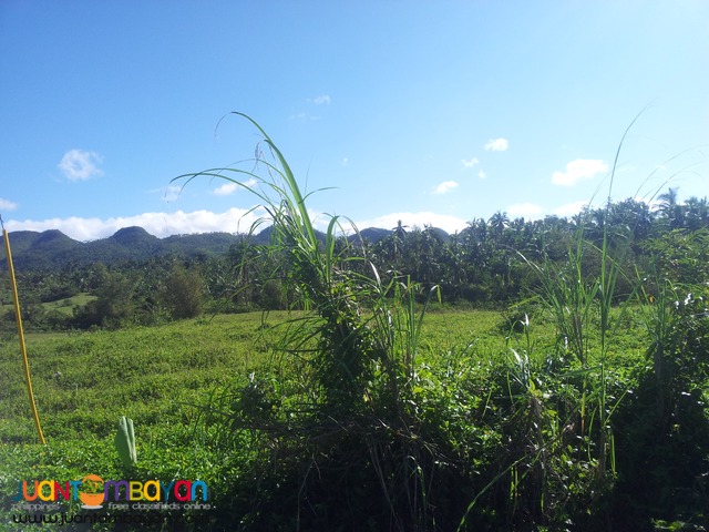 36 hectares for sale in leyte, leyte