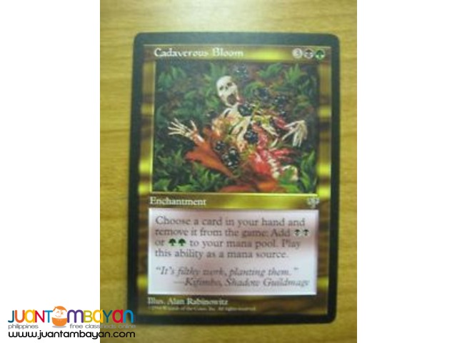 Cadaverous Bloom (Magic the Gathering Trading Card Game) Cadaverous Bloom (Magic the Gathering Trading Card Game)