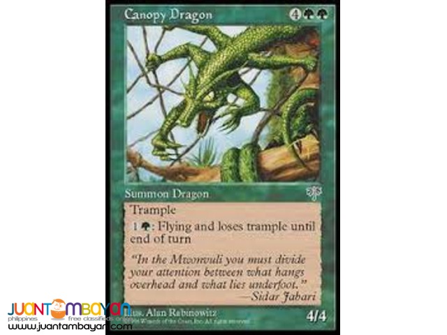 Canopy Dragon (Magic the Gathering Trading Card Game) Canopy Dragon (Magic the Gathering Trading Card Game)