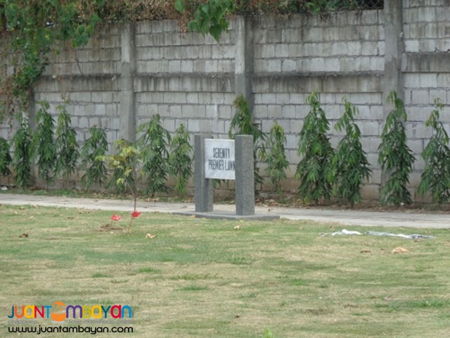 Memorial lot in Holy Cross Quezon City