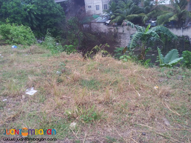 119 sq.m lot for sale in guadalupe