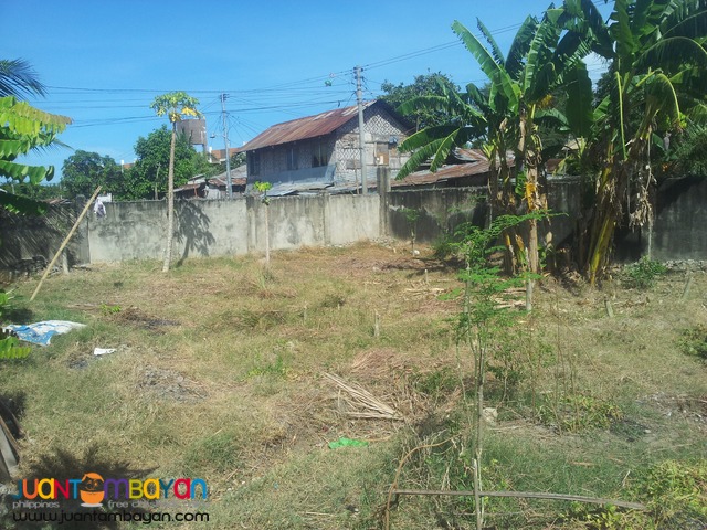 221 sq.m lot for sale in talisay city, cebu