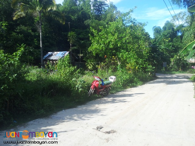 lot for sale 6,896 sq.m in cabangahan