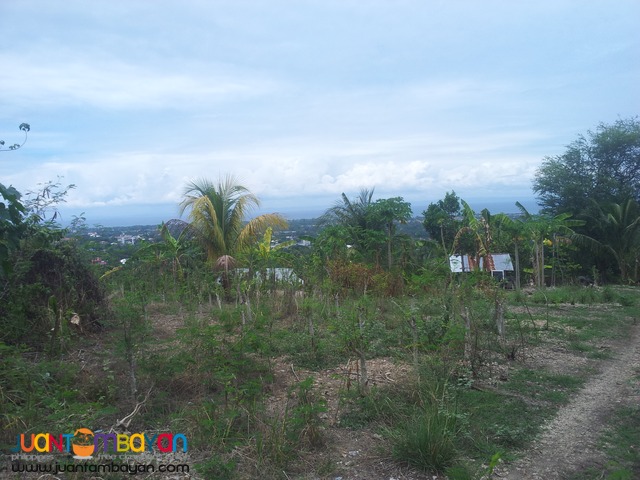 973 sq.m overlooking lot for sale in Talisay City, Cebu